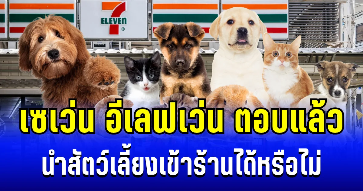 หลายคนสงสัย เซเว่น อีเลฟเว่น ตอบแล้ว นำสัตว์เลี้ยงเข้าร้านได้หรือไม่