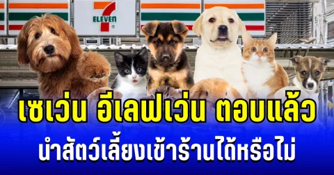 หลายคนสงสัย เซเว่น อีเลฟเว่น ตอบแล้ว นำสัตว์เลี้ยงเข้าร้านได้หรือไม่