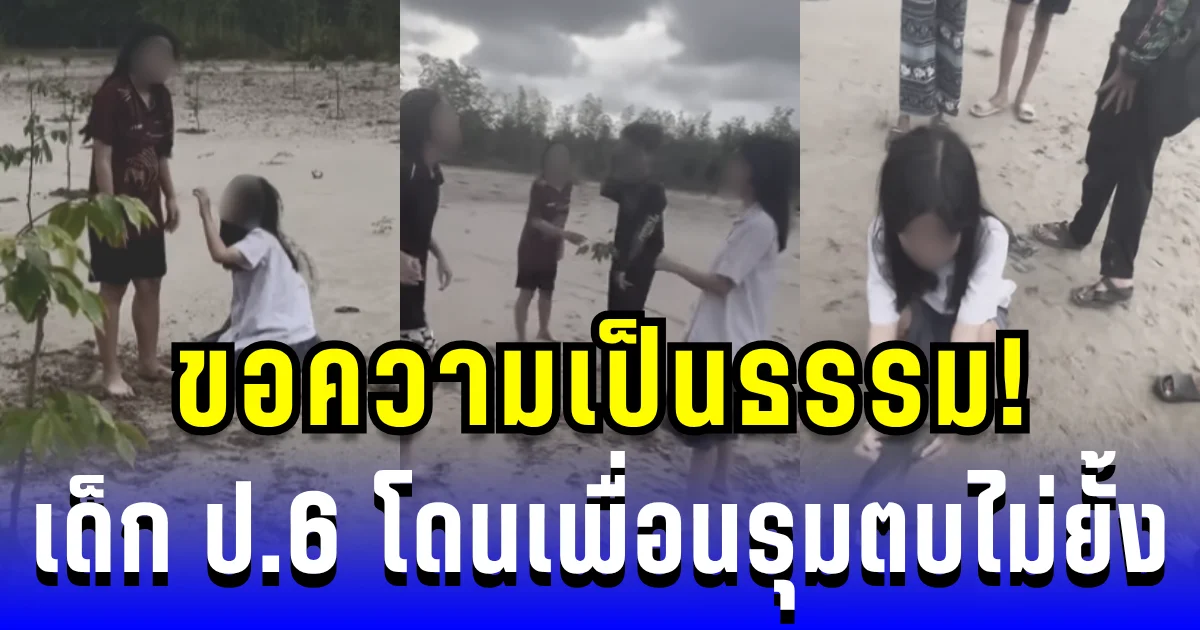 ขอความเป็นธรรม! เด็ก ป.6 โดนเพื่อนรุมตบไม่ยั้ง ผู้ปกครองอีกฝ่ายตอบกลับ ถึงกับอึ้ง