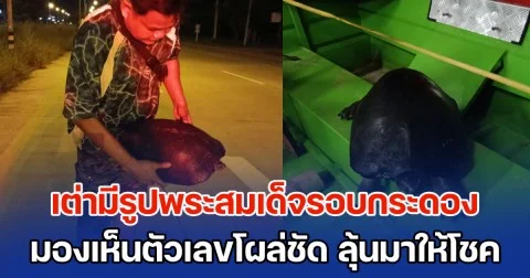 เชื่อมาให้โชค! พบพญาเต่ามีรูปพระสมเด็จรอบกระดอง มองเห็นตัวเลขโผล่ชัด ลุ้นงวดวันที่ 16 ต.ค. 68