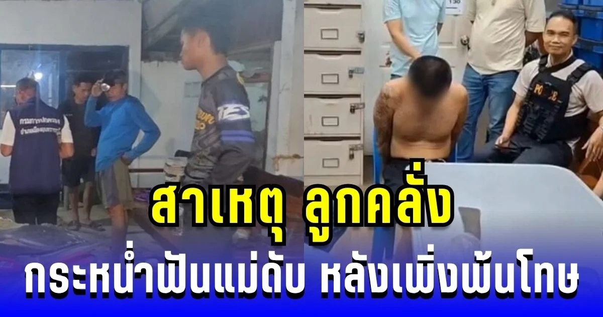 เปิดปมสาเหตุ ลูกคลั่งกระหน่ำฟันแม่ดับ หลังเพิ่งพ้นโทษได้ 7 วัน