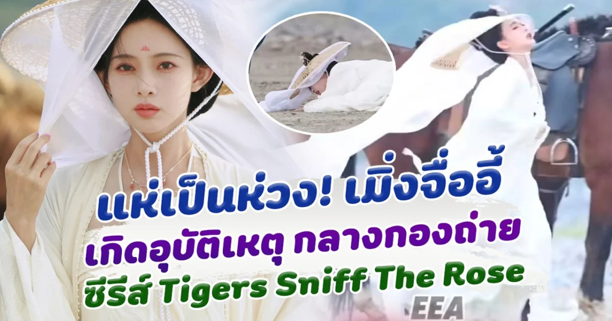 แห่เป็นห่วง! เมิ่งจื่ออี้ เกิดอุบัติเหตุกลางกองถ่าย Tigers Sniff The Rose