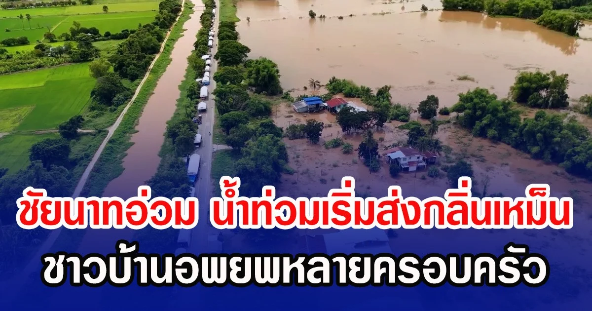 ชัยนาทอ่วม น้ำท่วมเริ่มส่งกลิ่นเหม็น ชาวบ้านอพยพหลายครอบครัว