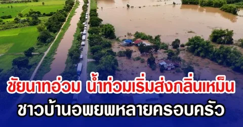 ชัยนาทอ่วม น้ำท่วมเริ่มส่งกลิ่นเหม็น ชาวบ้านอพยพหลายครอบครัว