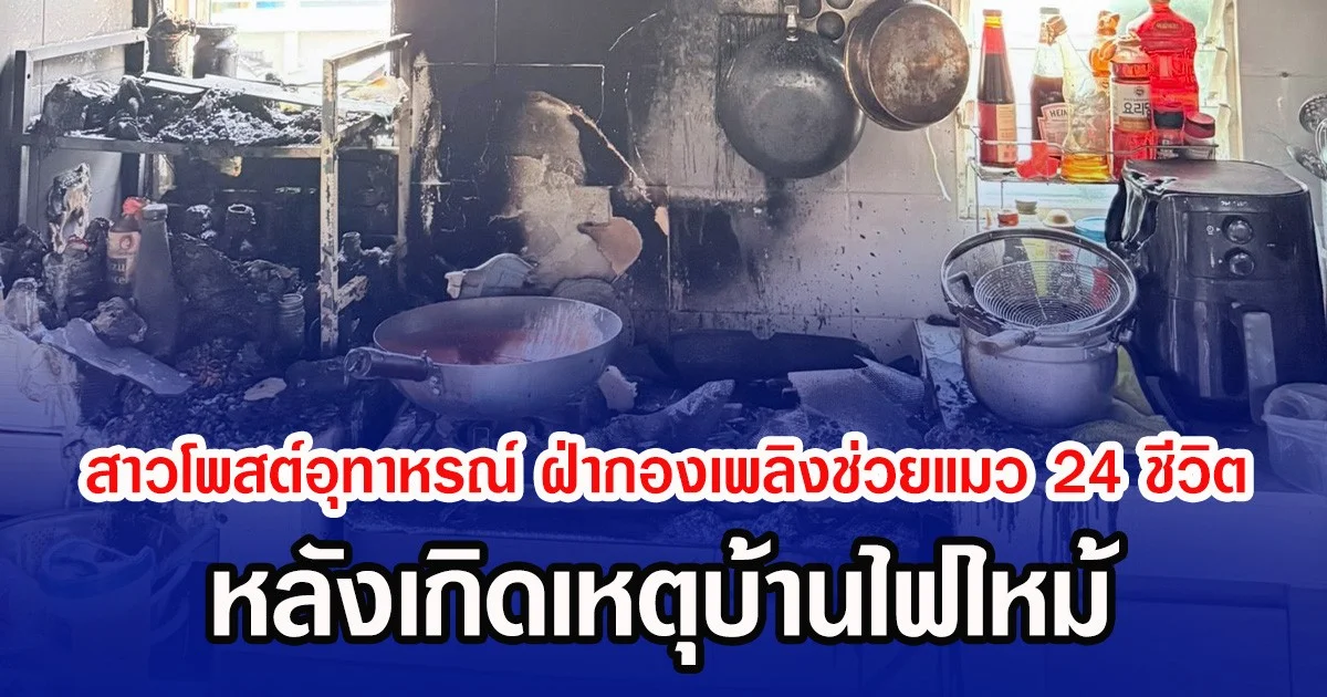 สาวโพสต์อุทาหรณ์ ฝ่ากองเพลิงช่วยแมว 24 ชีวิต หลังเกิดเหตุบ้านไฟไหม้