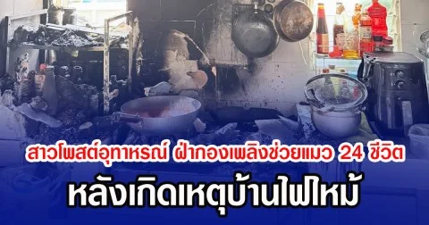 สาวโพสต์อุทาหรณ์ ฝ่ากองเพลิงช่วยแมว 24 ชีวิต หลังเกิดเหตุบ้านไฟไหม้