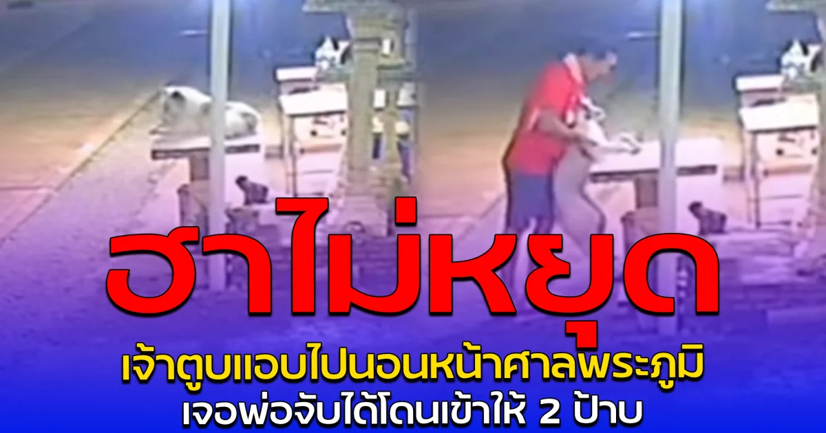 ฮาไม่หยุด เจ้าตูบแอบไปนอนหน้าศาลพระภูมิ เจอพ่อจับได้โดนเข้าให้ 2 ป้าบ