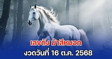 ควบมาไวมาก เลขดัง ม้าสีหมอก งวดวันที่ 16 ต.ค. 2568