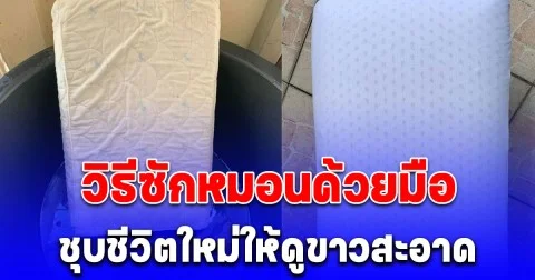 วิธีซักหมอนด้วยมือ ให้ดูขาวสะอาดเหมือนใหม่ บอกเลยง่ายมาก