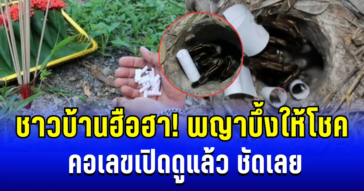 ชาวบ้านฮือฮา! พญาบึ้งให้โชค คอเลขเปิดดูแล้ว ชัดเลย