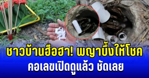 ชาวบ้านฮือฮา! พญาบึ้งให้โชค คอเลขเปิดดูแล้ว ชัดเลย