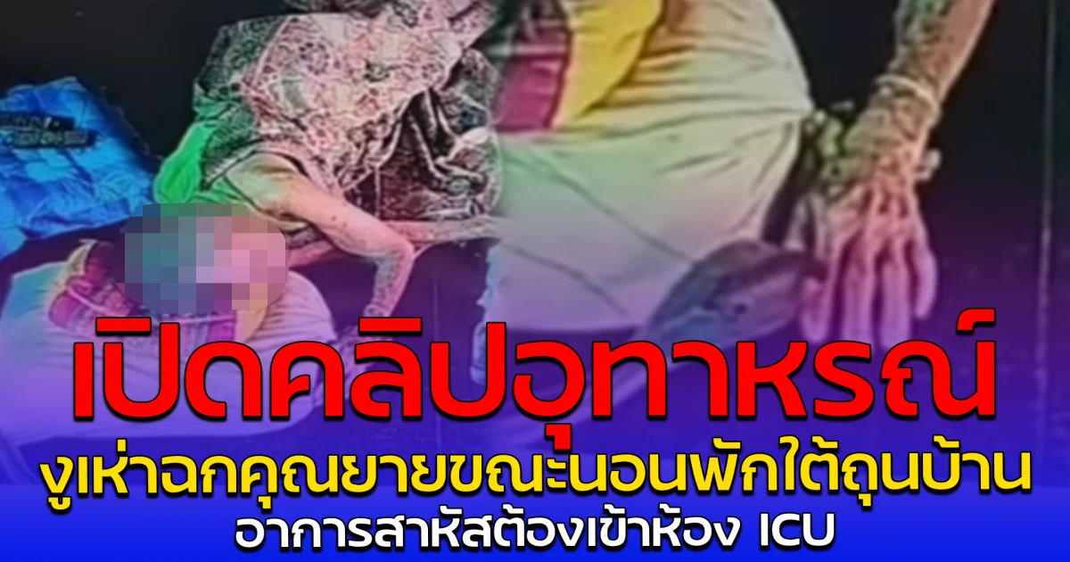 เปิดคลิปอุทาหรณ์ งูเห่าฉกคุณยายขณะนอนพักใต้ถุนบ้าน อาการสาหัสต้องเข้าห้อง ICU