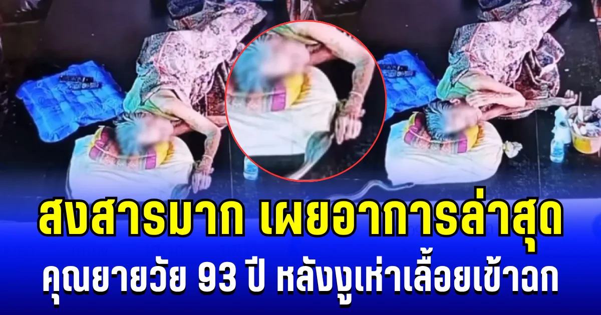 สงสารมาก เผยอาการล่าสุด คุณยายวัย 93 ปี หลังงูเห่าเลื้อยเข้าฉก