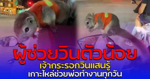 ผู้ช่วยวินตัวน้อย เจ้ากระรอกวินแสนรู้ เกาะไหล่ช่วยพ่อทำงานทุกวัน