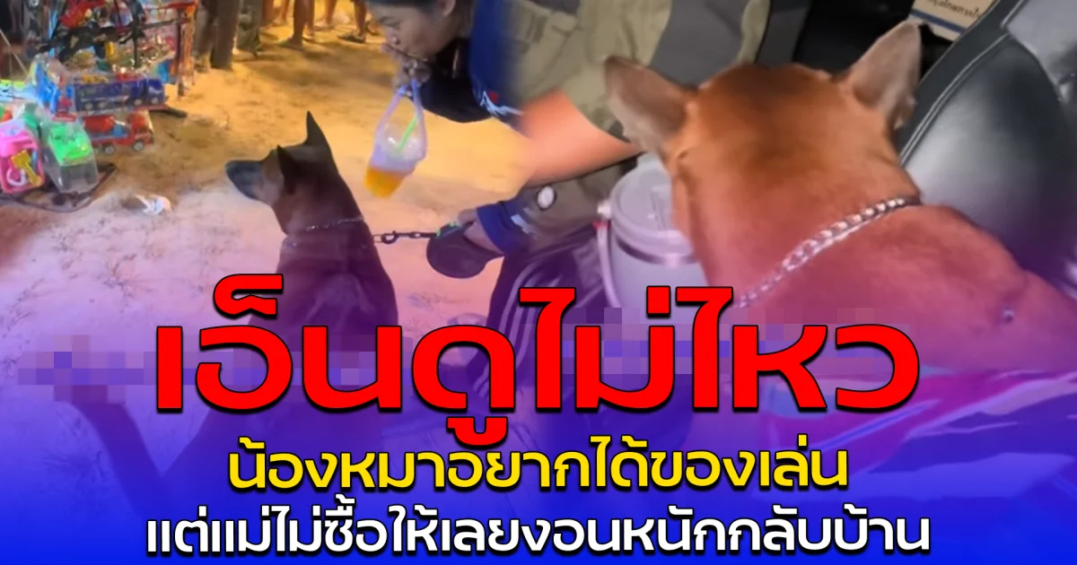 เอ็นดูไม่ไหว น้องหมาอยากได้ของเล่น แต่แม่ไม่ซื้อให้เลยงอนหนักกลับบ้าน