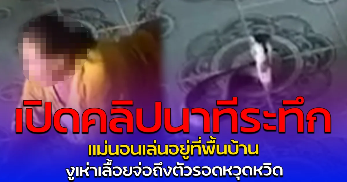 เปิดคลิปนาทีระทึก แม่นอนเล่นอยู่ที่พื้นบ้าน งูเห่าเลื้อยจ่อถึงตัวรอดหวุดหวิด