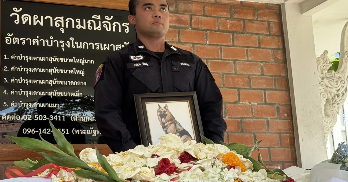 เจ้าหน้าที่และแฟนคลับร่วมไว้อาลัย ตำรวจตรีซาโบ้ สุนัขตำรวจพันธุ์เยอรมันเชพเฟิร์ด ผู้ปฏิบัติหน้าที่ค้นหาวัตถุระเบิดกว่า 5 ปี