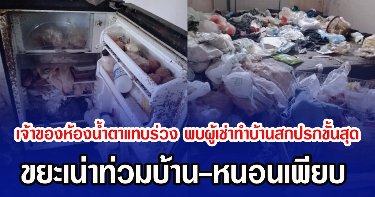 สาวเจ้าของห้องนํ้าตาแทบร่วง หลังพบผู้เช่าทำบ้านสกปรกขั้นสุด ขยะเน่าท่วมบ้าน-หนอนเพียบ