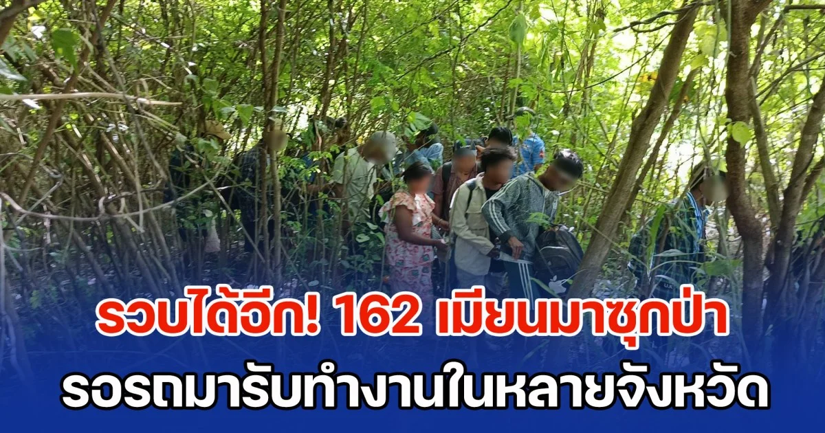รวบได้อีก! 162 เมียนมาซุกป่า รอรถมารับทำงานในหลายจังหวัด จ่ายนายหน้าคนละ 20,000 - 24,000 บาท