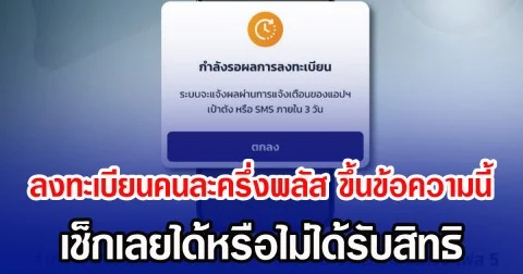 ลงทะเบียนคนละครึ่งพลัส ขึ้นข้อความนี้ เช็กเลยได้หรือไม่ได้รับสิทธิ