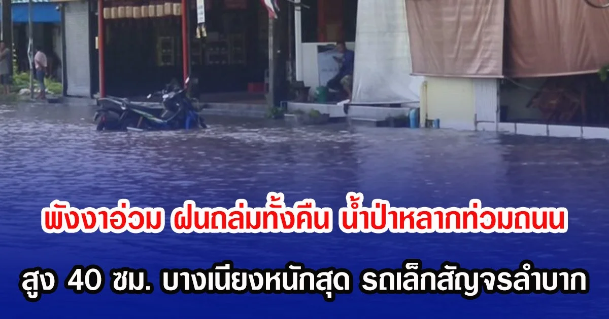 พังงาอ่วม ฝนถล่มทั้งคืน น้ำป่าหลากท่วมถนน สูง 40 ซม. บางเนียงหนักสุด รถเล็กสัญจรลำบาก