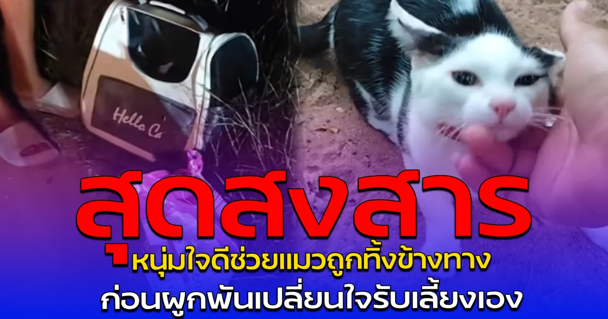สุดสงสาร หนุ่มใจดีช่วยแมวถูกทิ้งข้างทาง ก่อนผูกพันเปลี่ยนใจรับเลี้ยงเอง