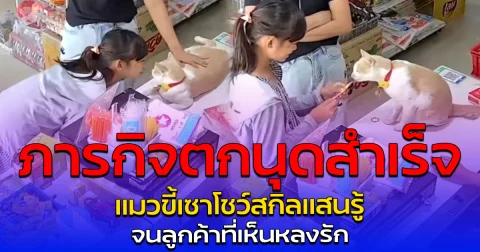 ภารกิจตกนุดสำเร็จ แมวขี้เซาโชว์สกิลแสนรู้ จนลูกค้าที่เห็นหลงรัก