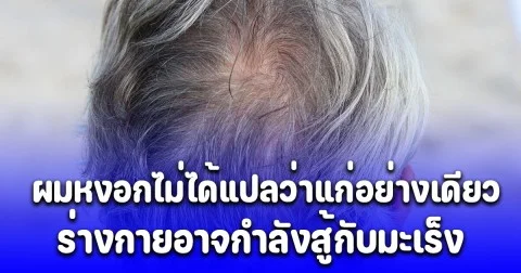 งานวิจัยล่าสุด ผมหงอกไม่ได้แปลว่าแก่อย่างเดียว แต่อาจเป็นเพราะร่างกายกำลังสู้กับมะเร็ง