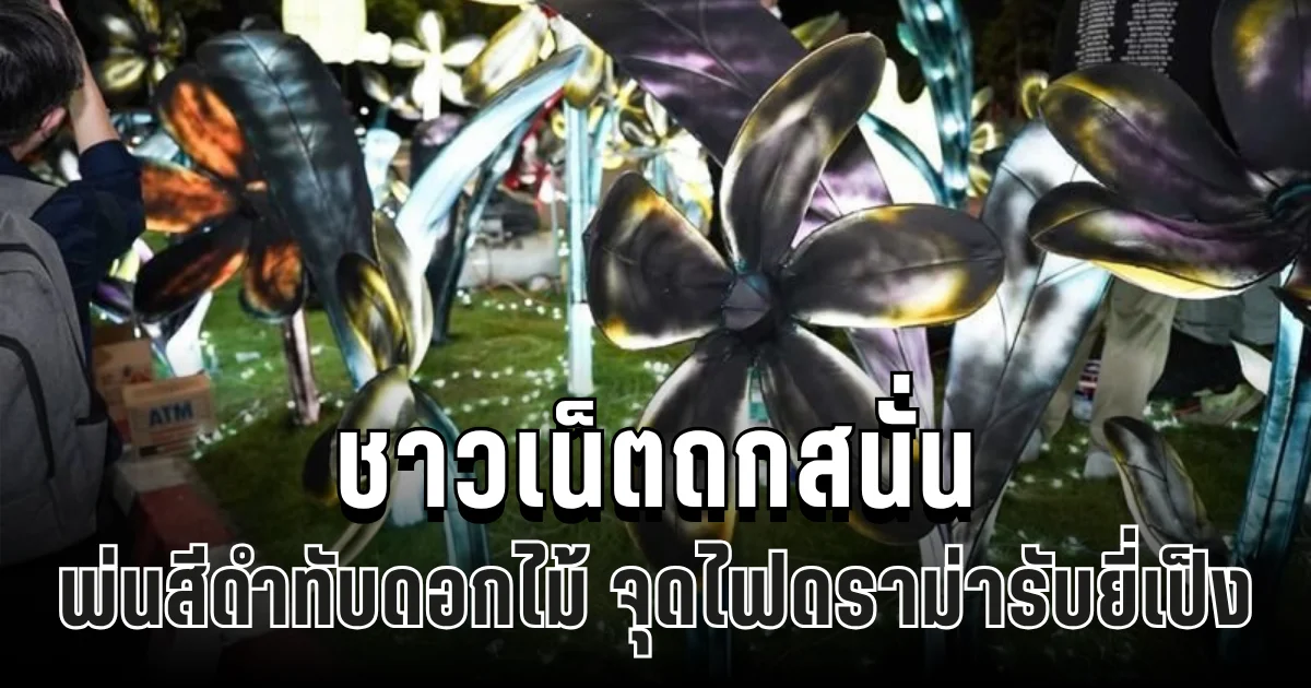 ดราม่าเดือด! เทศบาลฯเชียงใหม่พ่นสีดำทับดอกไม้ ทำชาวเน็ตถกสนั่น