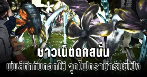 ดราม่าเดือด! เทศบาลฯเชียงใหม่พ่นสีดำทับดอกไม้ ทำชาวเน็ตถกสนั่น