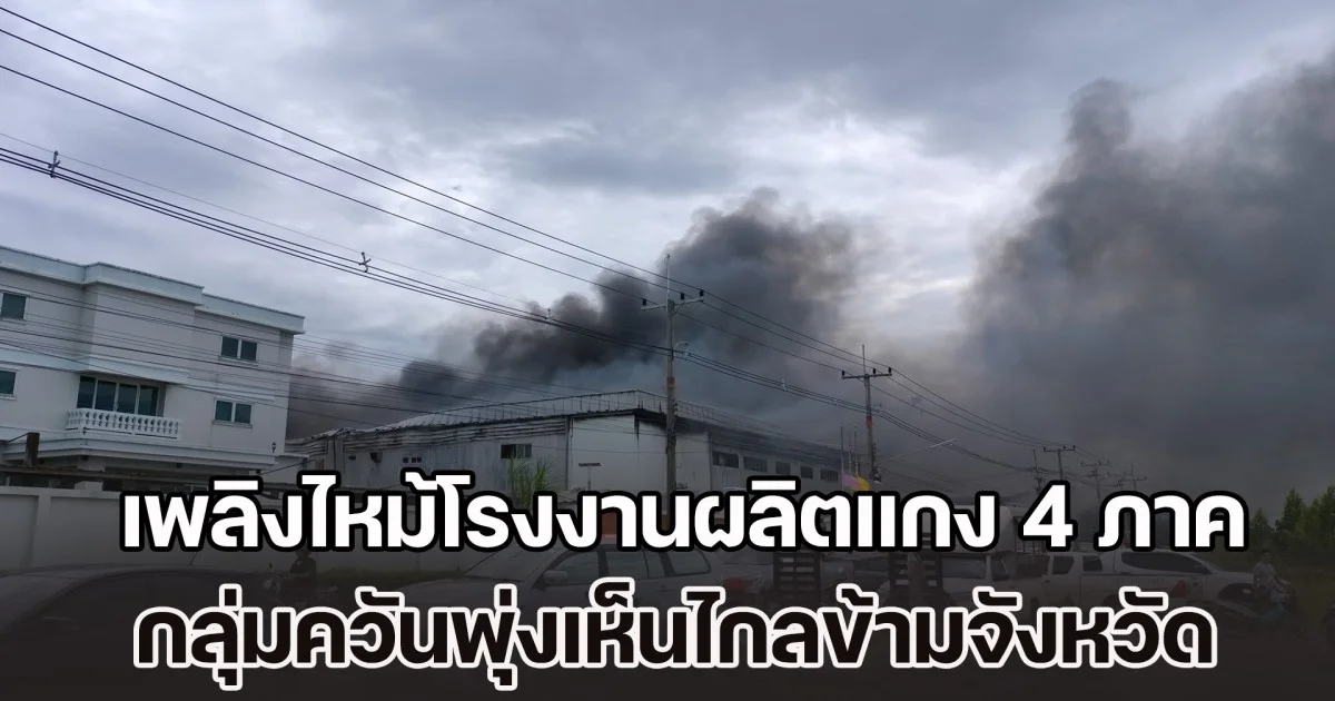 เพลิงไหม้โรงงานผลิตแกง 4 ภาคแช่แข็ง กลุ่มควันพุ่งเห็นไกลข้ามจังหวัด