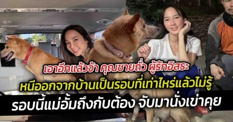 เอาอีกแล้วจ้า คุณชายถั่ว ผู้รักอิสระ หนีออกจากบ้านเป็นรอบที่เท่าไหร่แล้วไม่รู้ เจ้าหมาสุดรักของแม่อั้ม หนีออกจากบ้านอีกแล้ว