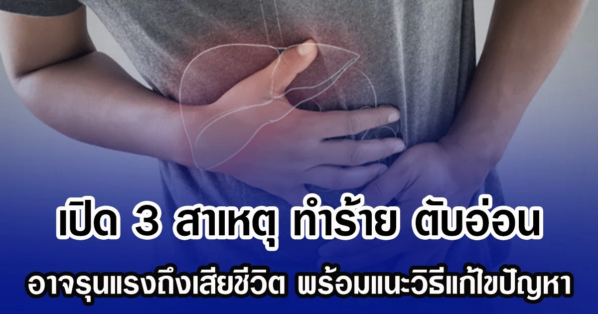 เปิด 3 สาเหตุ ทำร้าย ตับอ่อน อาจรุนแรงถึงเสียชีวิต พร้อมแนะวิธีแก้ไขปัญหา