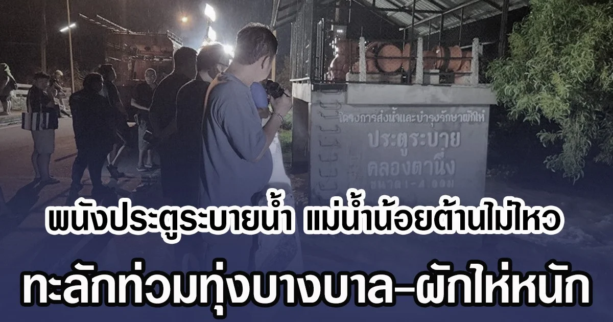 พนังประตูระบายน้ำ แม่น้ำน้อยต้านไม่ไหว ทะลักท่วมทุ่งบางบาล-ผักไห่หนัก