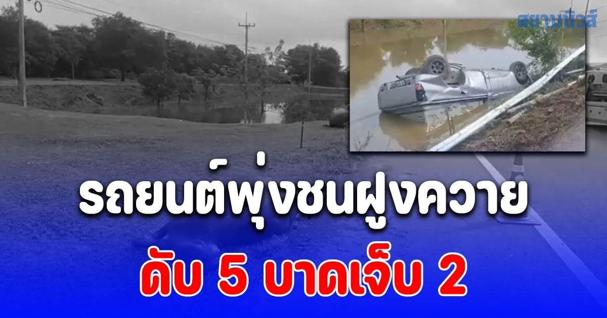 สลด! รถยนต์พุ่งชนฝูงควาย ดับ 5 บาดเจ็บ 2 เบื้องต้นยังไม่มีเจ้าของควายออกมาแสดงตัว