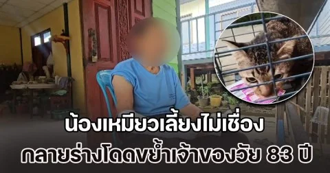 อุทาหรณ์ทาสแมว! น้องเหมียวเลี้ยงไม่เชื่อง กลายร่างโดดขย้ำเจ้าของวัย 83 ปี เจ็บสาหัส ต้องเย็บ 100 กว่าเข็ม ฉีดยาอีกกว่า 63 เข็ม