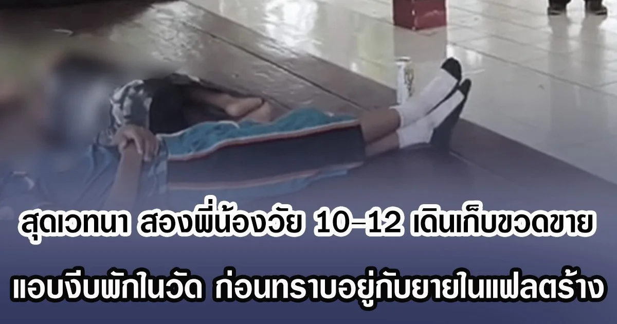 สุดเวทนา สองพี่น้องวัย 10–12 เดินเก็บขวดขาย แอบงีบพักในวัด ก่อนทราบอยู่กับยายในแฟลตร้าง