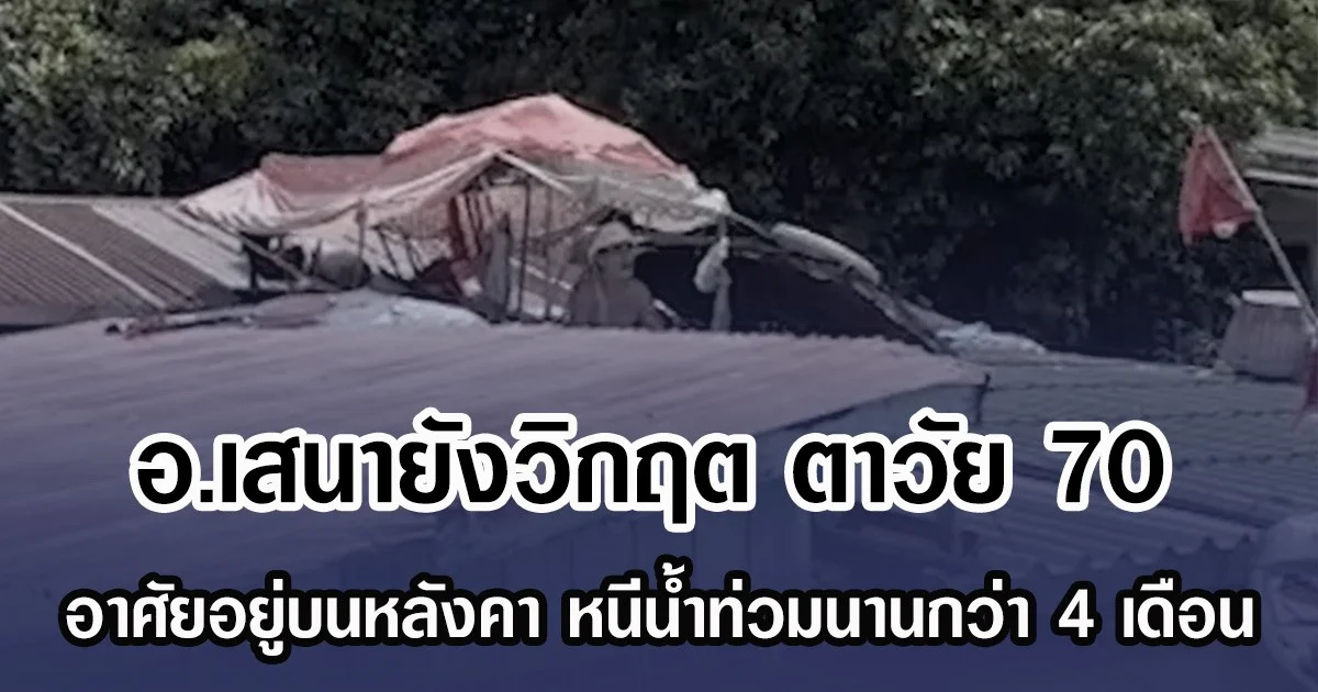 อ.เสนายังวิกฤต ตาวัย 70 อาศัยอยู่บนหลังคา หนีนํ้าท่วมนานกว่า 4 เดือน