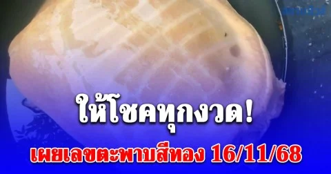 ชาวบ้านพบตะพาบสีทอง ตัดสินใจเก็บมาเลี้ยง สุดท้ายได้โชคลาภชีวิตเปลี่ยน เผยเลข 16/11/68