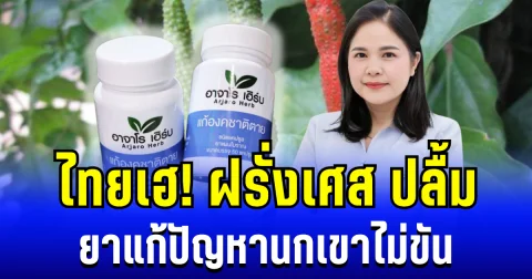 ไทยเฮ! ฝรั่งเศส ปลื้ม ยาแก้ปัญหานกเขาไม่ขัน หนุนสมุนไพรไทยตีตลาดโลก
