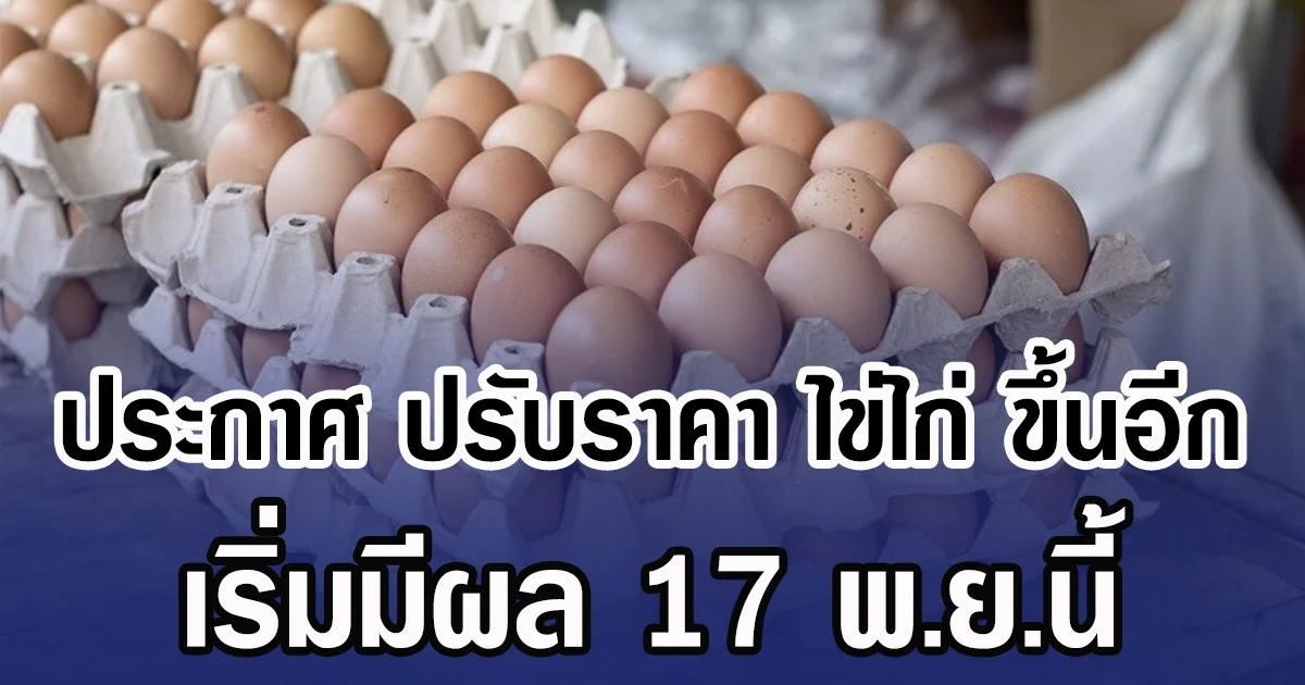 ประกาศ ปรับราคา ไข่ไก่ ขึ้นอีก เริ่มมีผล 17 พ.ย.นี้