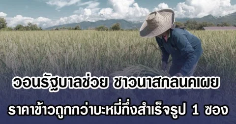 วอนรัฐบาลช่วย ชาวนาสกลนคเผย ราคาข้าวถูกกว่าบะหมี่กึ่งสำเร็จรูป 1 ซอง