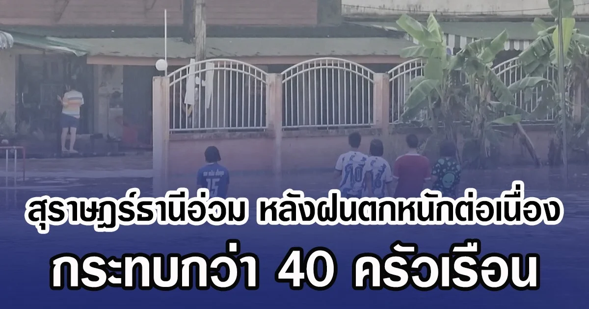 สุราษฎร์ธานีอ่วม หลังฝนตกหนักต่อเนื่อง กระทบกว่า 40 ครัวเรือน