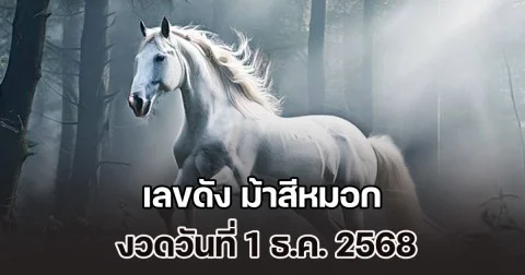 ควบมาไวมาก เลขดัง ม้าสีหมอก งวดวันที่ 1 ธ.ค. 2568