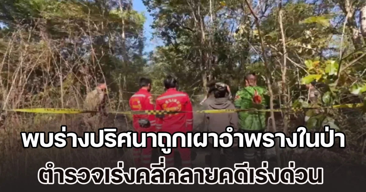พบร่างปริศนาถูกเผาอำพรางในป่า ตำรวจเร่งคลี่คลายคดีด่วน