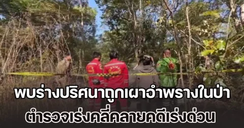พบร่างปริศนาถูกเผาอำพรางในป่า ตำรวจเร่งคลี่คลายคดีด่วน