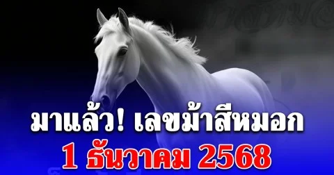 ควบมาให้โชคส่งท้ายปี เลขม้าสีหมอก 1/12/68