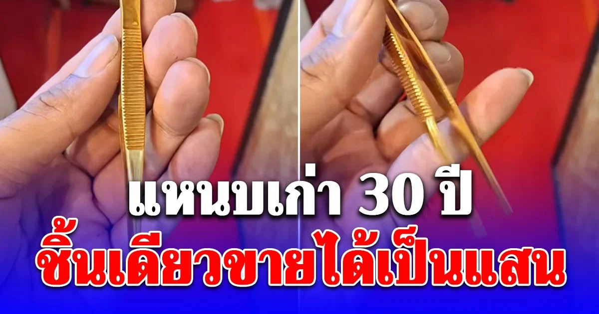 คนดูเป็นแสน! แหนบเก่า 30 ปี ชิ้นเดียวขายได้เป็นแสน เฉลยแล้วเอาไว้ทำอะไร หลังคนสงสัยใช้ถอนขนรักแร้ไหม