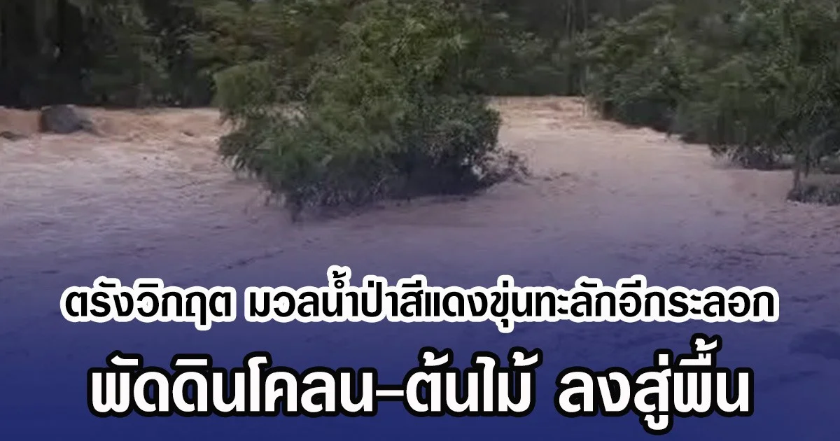 ตรังวิกฤต มวลน้ำป่าสีแดงขุ่นทะลักอีกระลอก พัดดินโคลน-ต้นไม้ ลงสู่พื้น