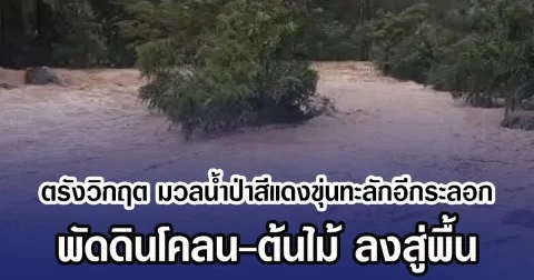 ตรังวิกฤต มวลน้ำป่าสีแดงขุ่นทะลักอีกระลอก พัดดินโคลน-ต้นไม้ ลงสู่พื้น